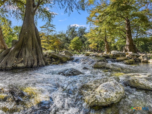 view of local wilderness