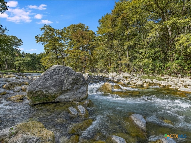 view of local wilderness