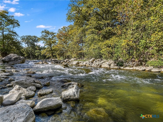 view of local wilderness