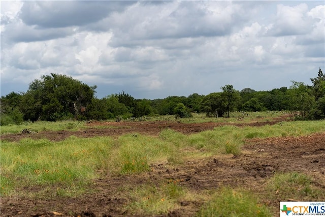 12283 Crows Ranch Rd, Salado, TX 76571 - photo 5