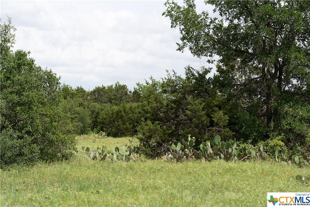 12283 Crows Ranch Rd, Salado, TX 76571 - photo 6
