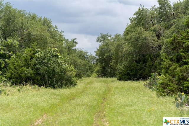 12283 Crows Ranch Rd, Salado, TX 76571 - photo 14