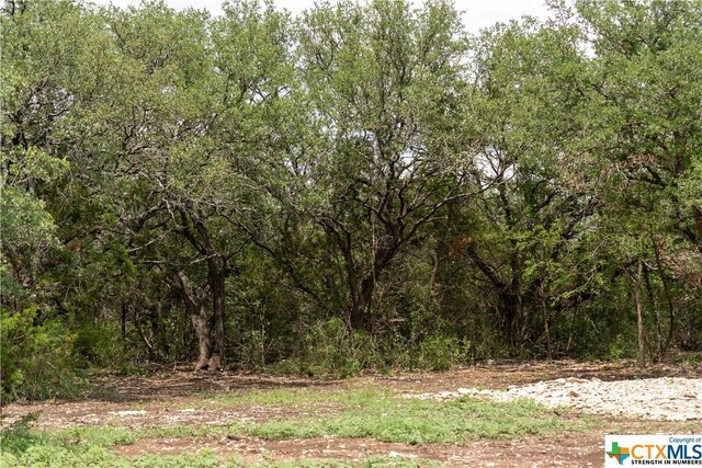 12283 Crows Ranch Rd, Salado, TX 76571 - photo 9