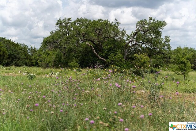 12283 Crows Ranch Rd, Salado, TX 76571 - photo 3