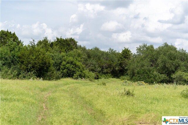 12283 Crows Ranch Rd, Salado, TX 76571 - photo 15