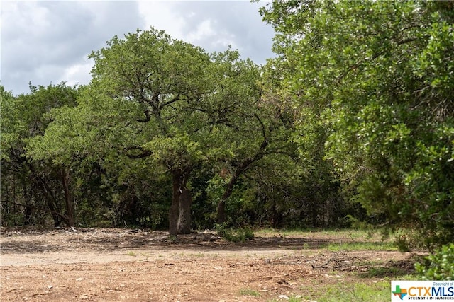12283 Crows Ranch Rd, Salado, TX 76571 - photo 8