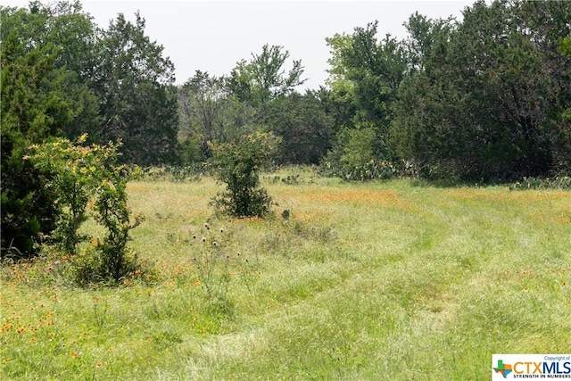 12283 Crows Ranch Rd, Salado, TX 76571 - photo 13