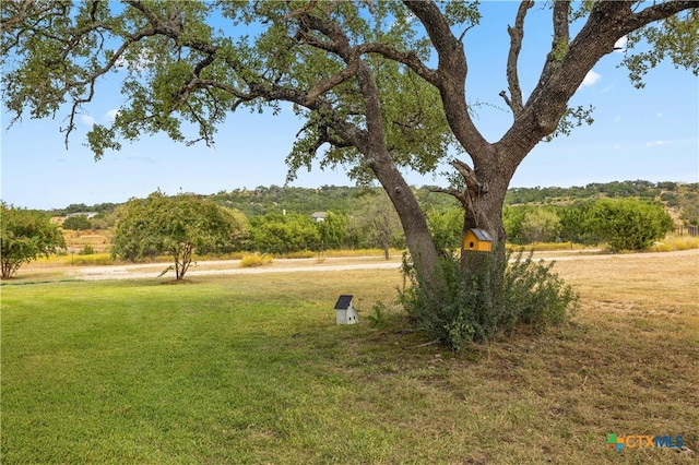 view of yard with a rural view