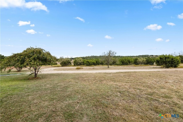 view of community with a rural view and a yard