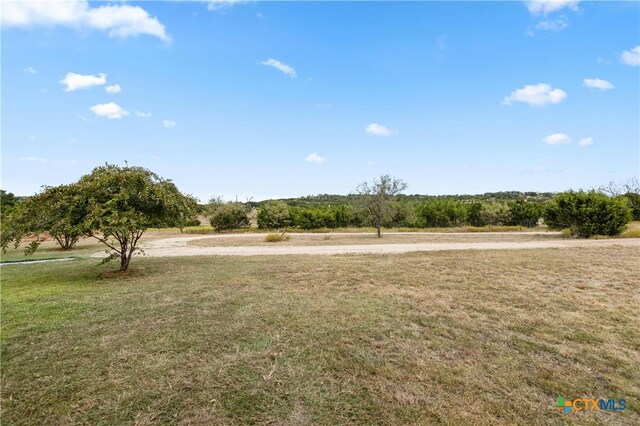 view of community with a rural view and a yard