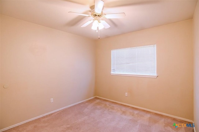 116 Shawnee Trl, Harker Heights, TX 76548 - photo 30