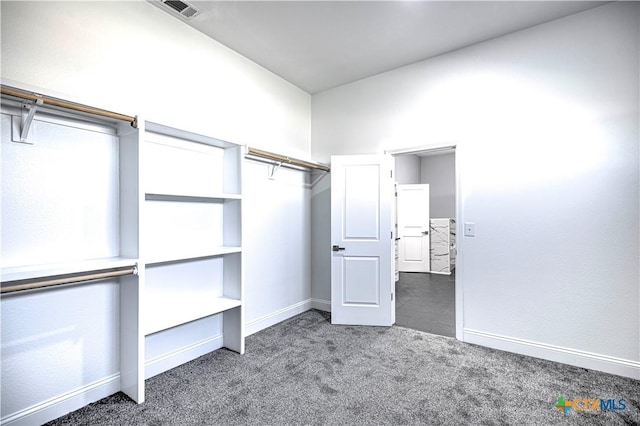 spacious closet with carpet flooring