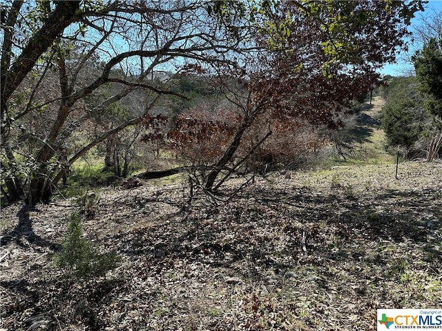 9860 Hodge Canyon Dr, Salado, TX 76571 - photo 9