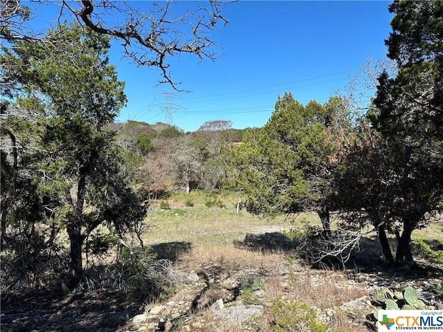 9860 Hodge Canyon Dr, Salado, TX 76571 - photo 5
