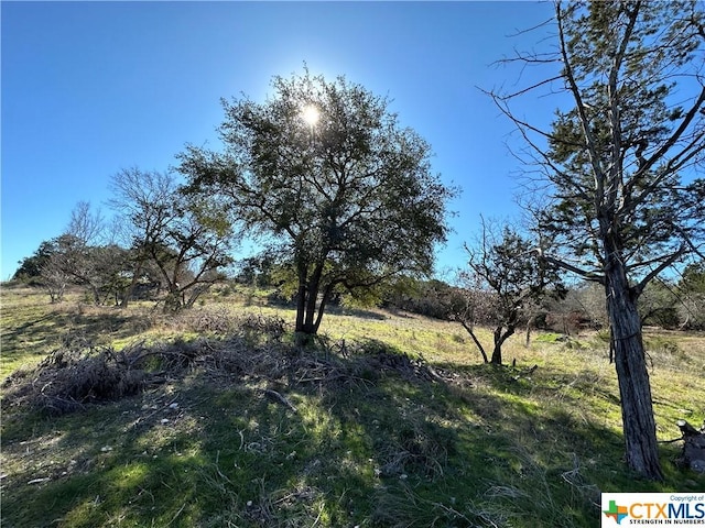 9860 Hodge Canyon Dr, Salado, TX 76571 - photo 10