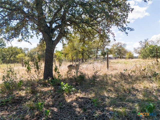 134 Riverside Spur, Killeen, TX 76542