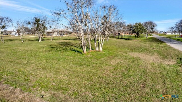 407 W Oakland Ave, Seadrift, TX 77983 - view of green lawn