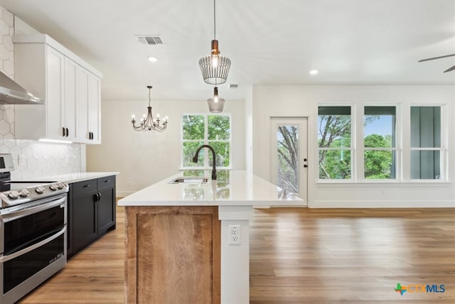 kitchen with sink, stainless steel range, a healthy amount of sunlight, and a kitchen island with sink