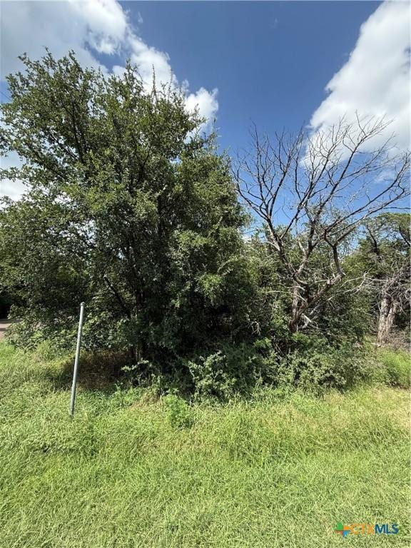 13328 Harbor Dr, Temple, TX 76502 - photo 3