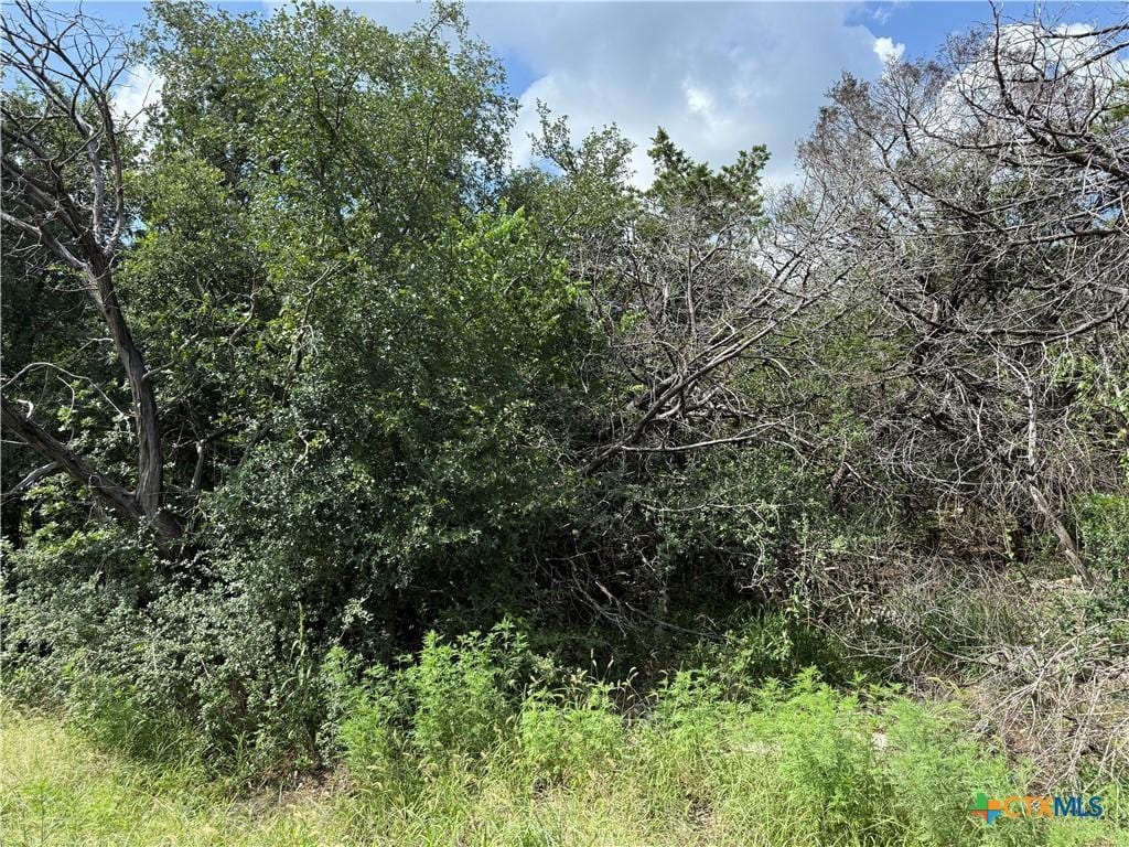 13328 Harbor Dr, Temple, TX 76502 - photo 2