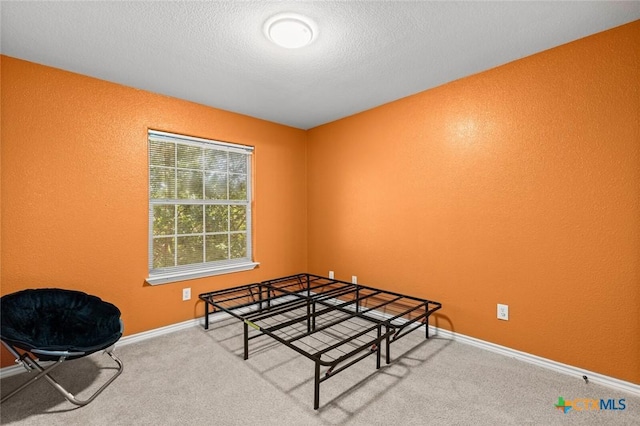 2123 Grizzly Trl, Harker Heights, TX 76548 - carpeted bedroom with baseboards and a textured wall