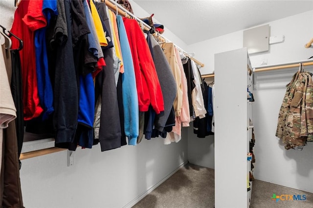 2123 Grizzly Trl, Harker Heights, TX 76548 - spacious closet with carpet