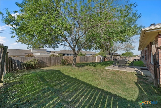 view of yard featuring a patio area