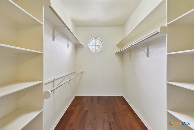 spacious closet with dark wood-type flooring