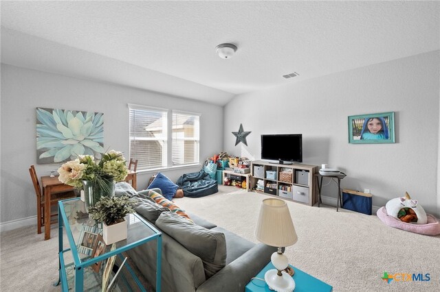 27522 Paraiso Sands, Boerne, TX 78015 - carpeted living area featuring lofted ceiling and a textured ceiling