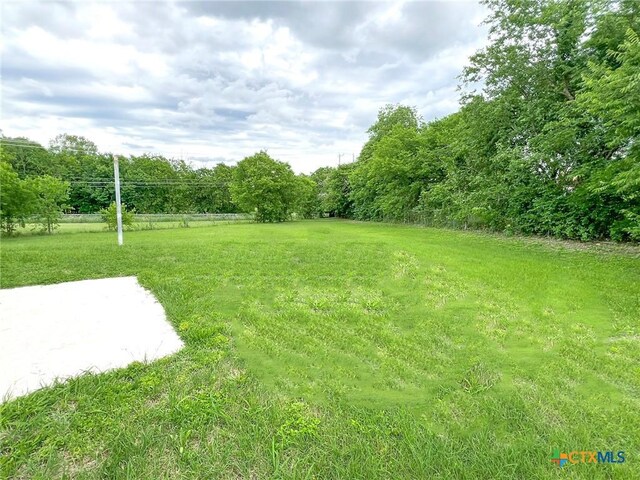 view of green lawn