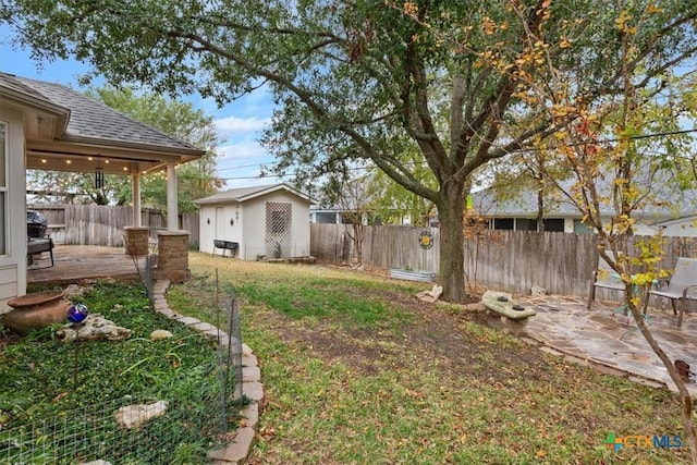 view of yard featuring a patio and a shed