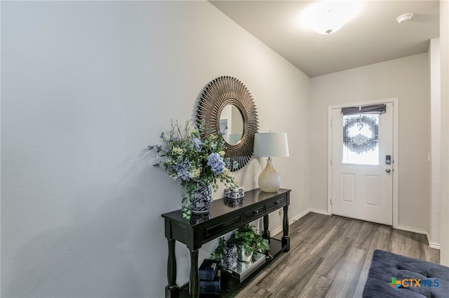 3130 Wigeon Way, Copperas Cove, TX 76522 - entrance foyer featuring wood finished floors and baseboards