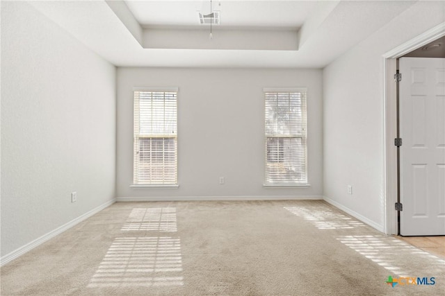 spare room with a wealth of natural light, light colored carpet, and a raised ceiling