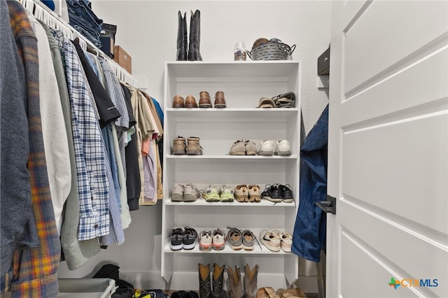 view of spacious closet