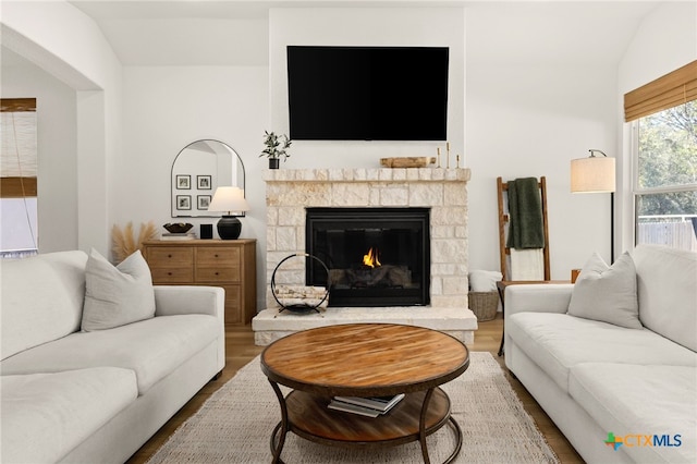 living area featuring a stone fireplace and wood finished floors