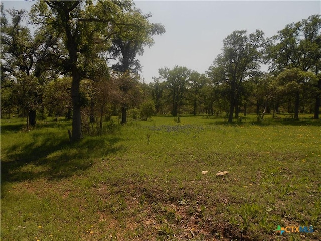 10655 E Trimmier Rd, Killeen, TX 76542 - photo 1