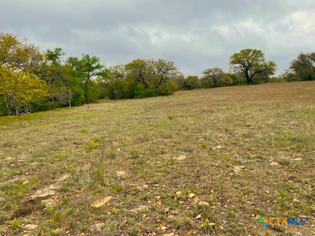 10655 E Trimmier Rd, Killeen, TX 76542 - photo 8