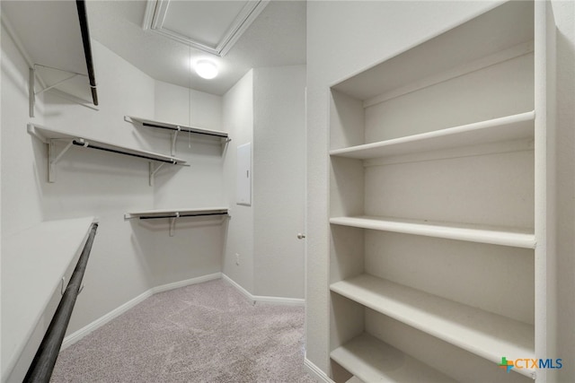 walk in closet with light colored carpet