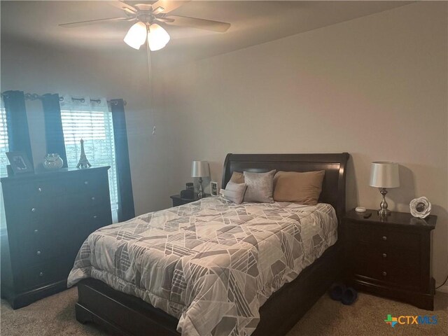 217 Lt Rusty Dr, Jarrell, TX 76537 - photo 23
