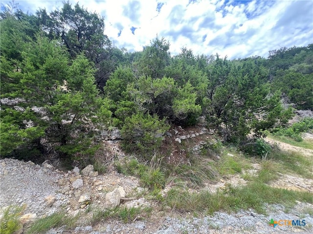 1597 Trail Pass Dr, Canyon Lake, TX 78133