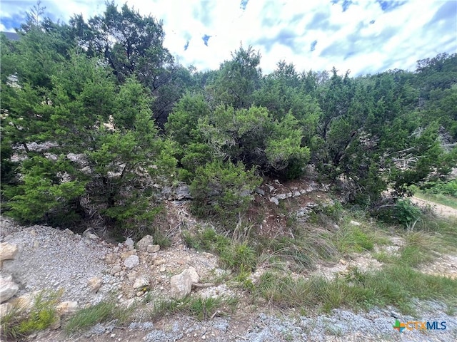 1597 Trail Pass Dr, Canyon Lake, TX 78133