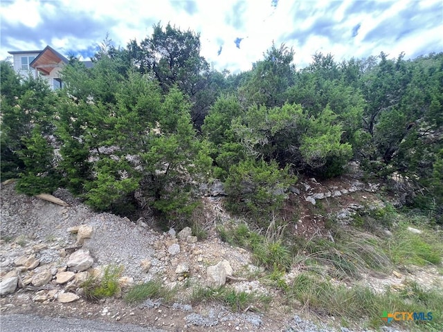 1597 Trail Pass Dr, Canyon Lake, TX 78133