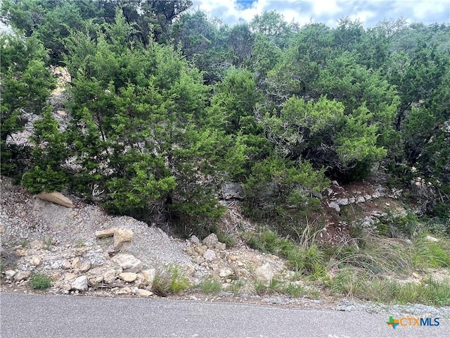 1597 Trail Pass Dr, Canyon Lake, TX 78133