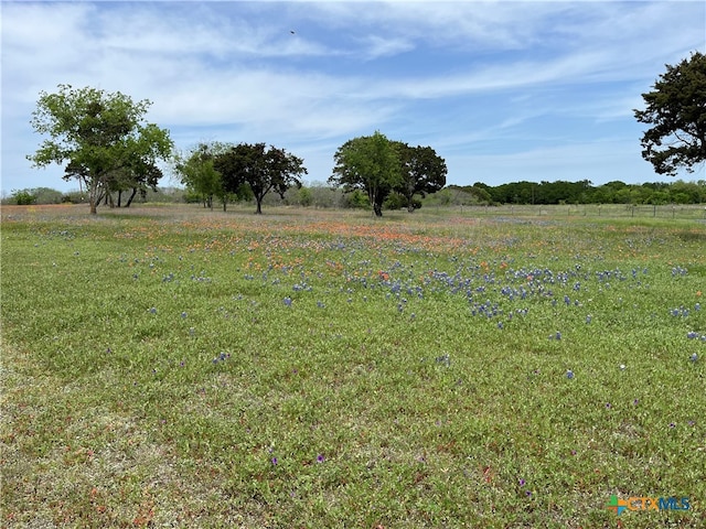 view of yard with a rural view