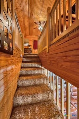 stairs with wood walls, wooden ceiling, and ceiling fan