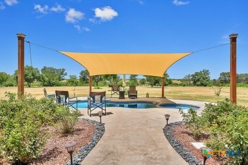 view of pool with a patio area