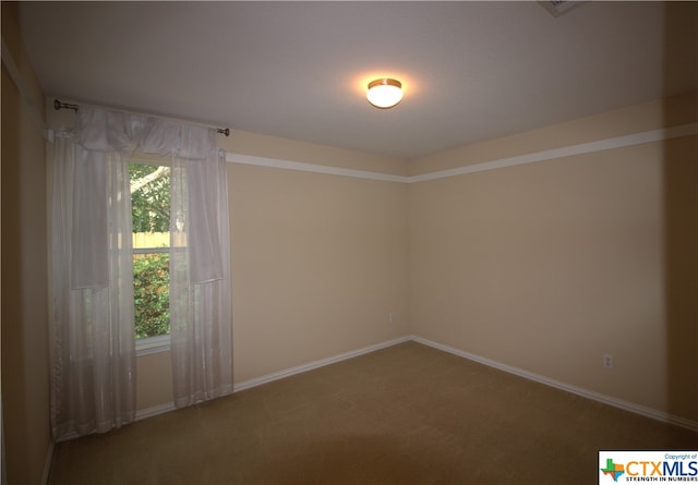 spare room with carpet