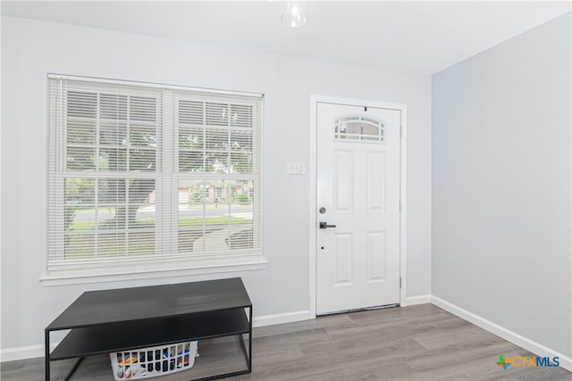 entrance foyer featuring light wood-type flooring