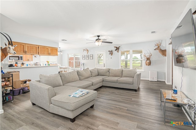 living room featuring wood-type flooring and ceiling fan