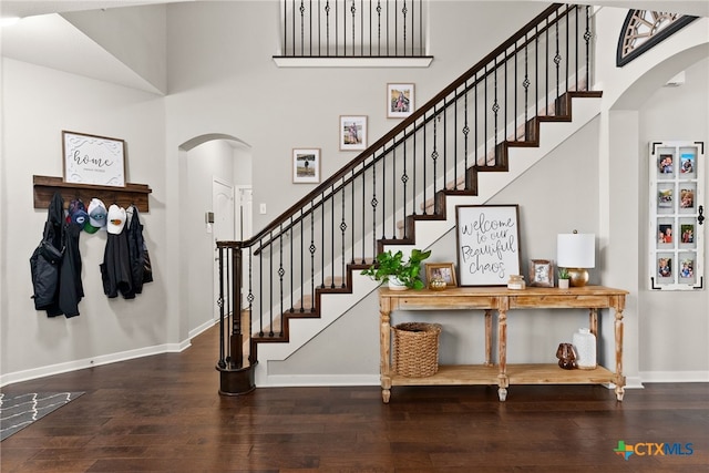 entrance foyer featuring a high ceiling and wood-type flooring